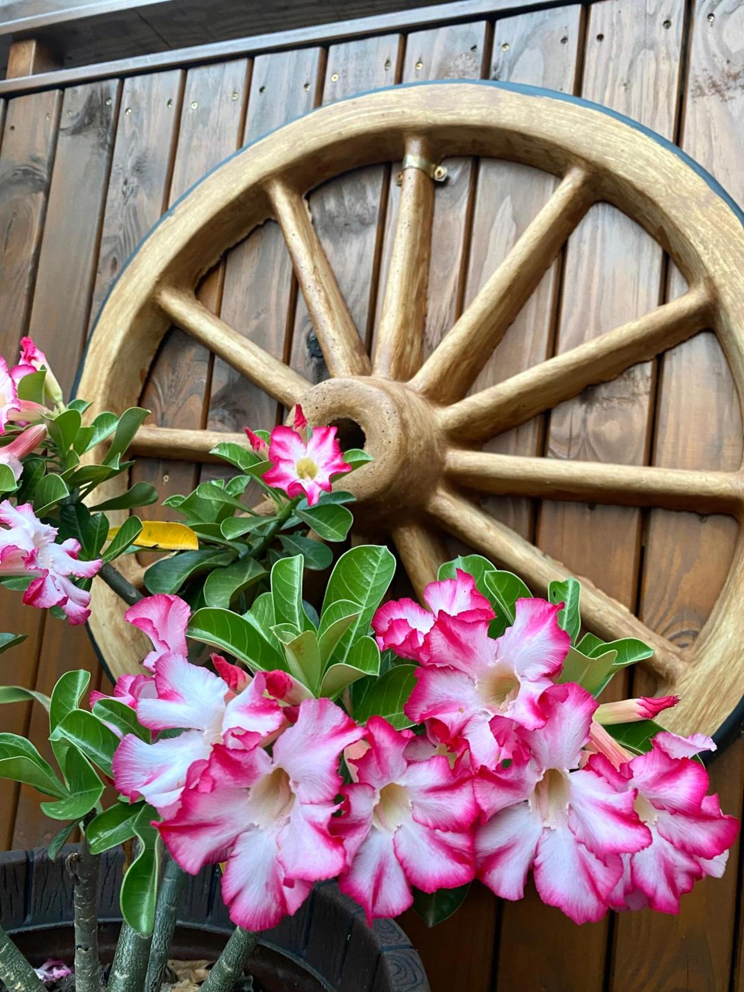 Pousada Vila Do Cowboy 페냐 외부 사진